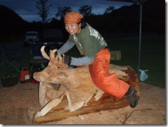 aya ride on deer 2006